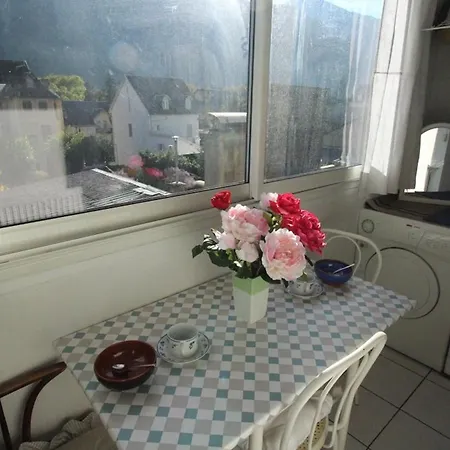 Apartman T3 50m² Pour 4 Pers. Avec Wifi Et Animaux Admis A Luchon - Fr-1-313-205